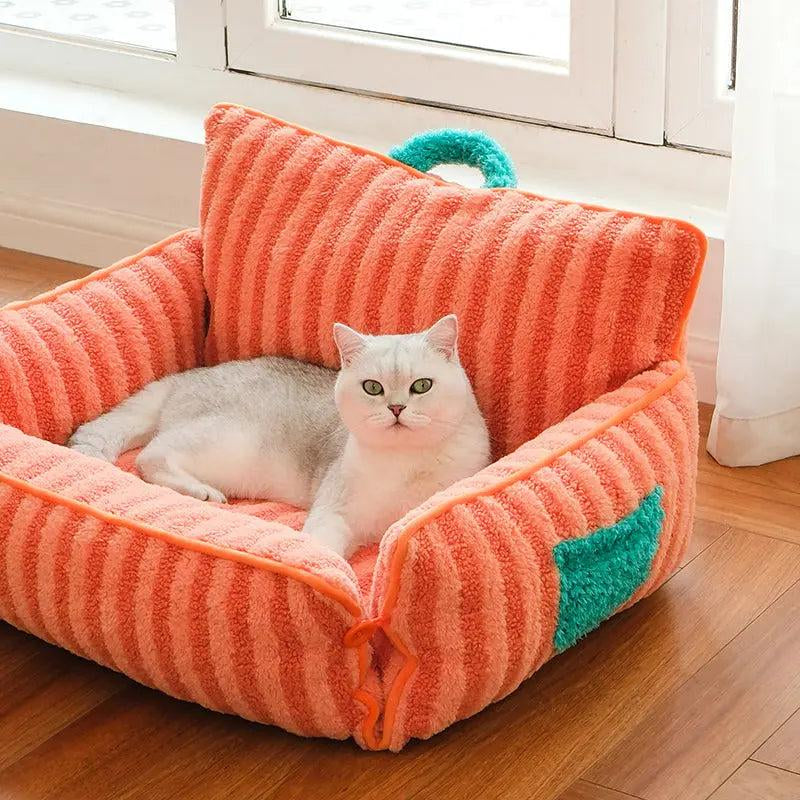 Softer Pet Lounge: the Ultimate Cat Couch for Cozy Comfort